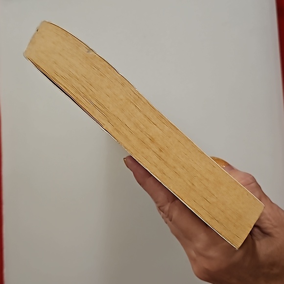 KURT COBAIN  Diari 2002 his diary in ITALIAN EUC Nirvana grunge rock - Picture 7 of 10